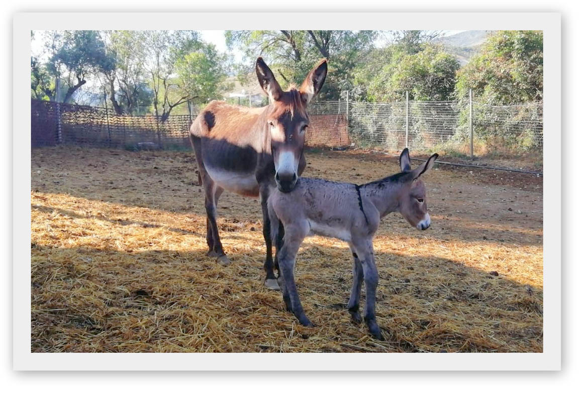 Luppolo e mamma Fiorella