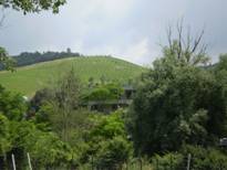 paesaggio