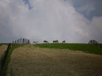 paesaggio