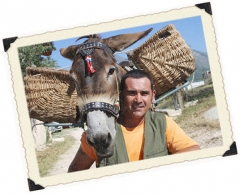 Ciucofoto