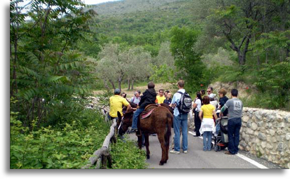 trekking