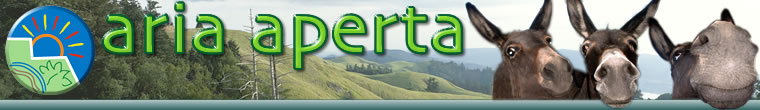 Aria aperta