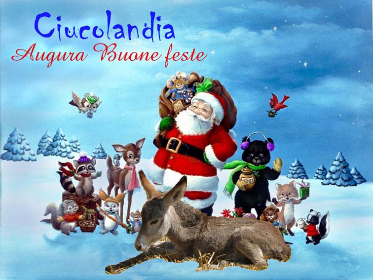 BUONE FESTE