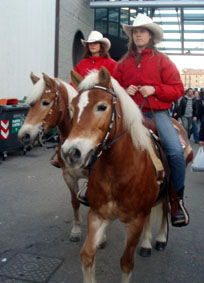 fieracavalli