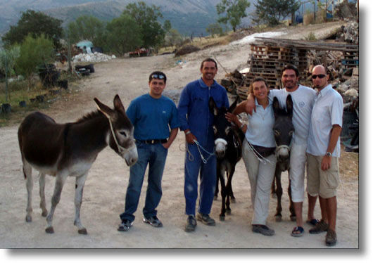 Cicolandia gruppo