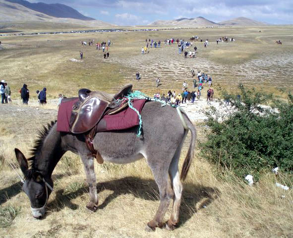 beta a campo imperatore