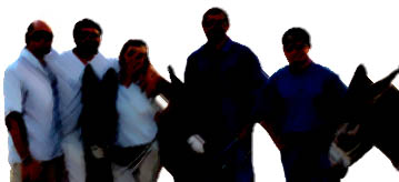 staff ciucolandia