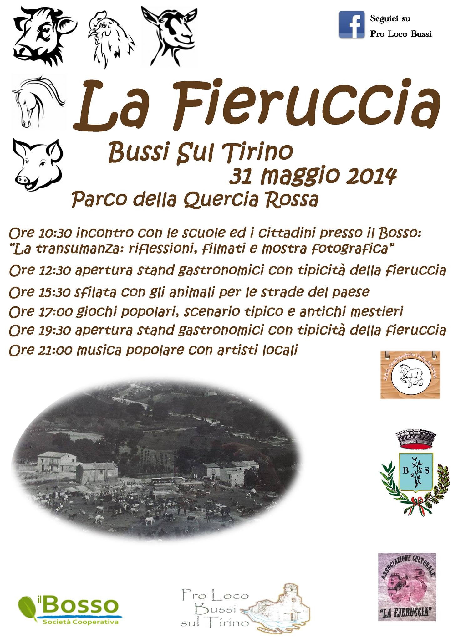 la fieruccia bussi