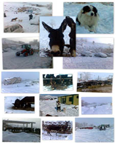 la neve a Ciucolandia