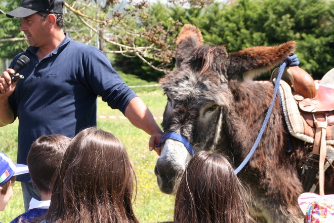 cristian merlo e fragola