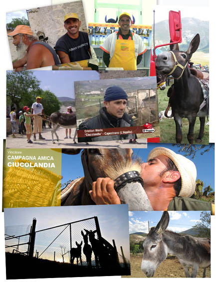 Ciucolandia foto