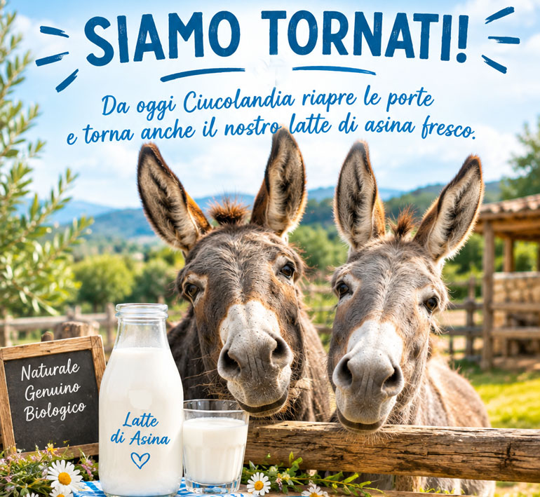 siamo tornati